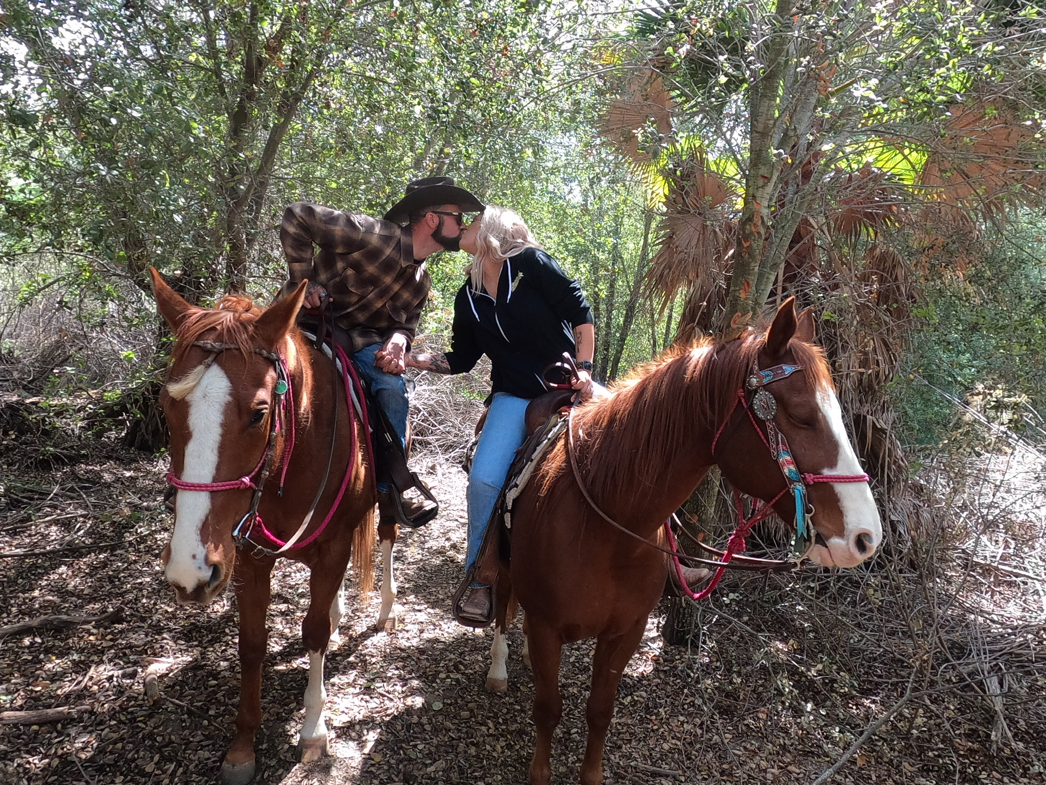 VIN HESTEN TRAIL RIDES