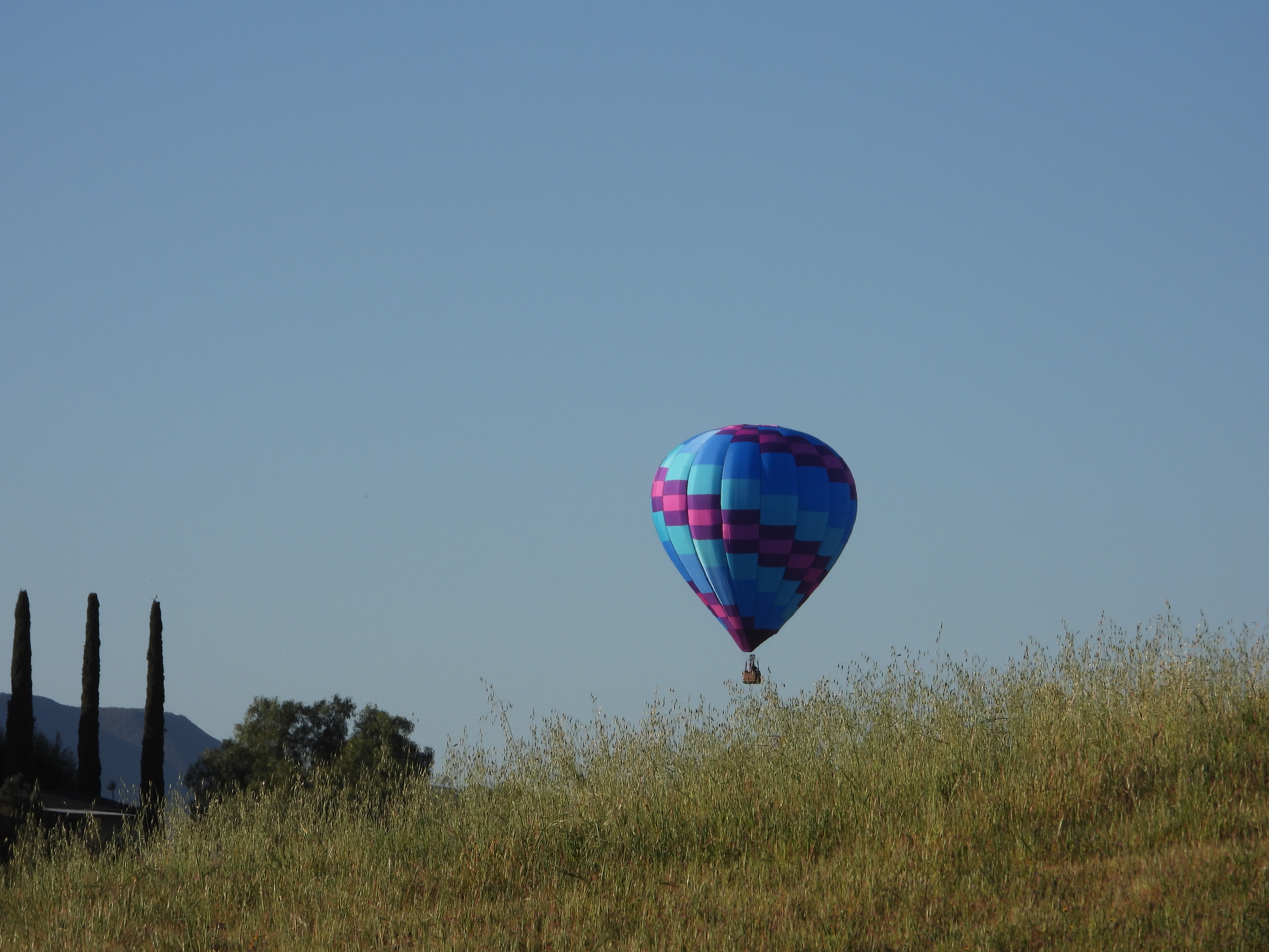 Ballooning near me